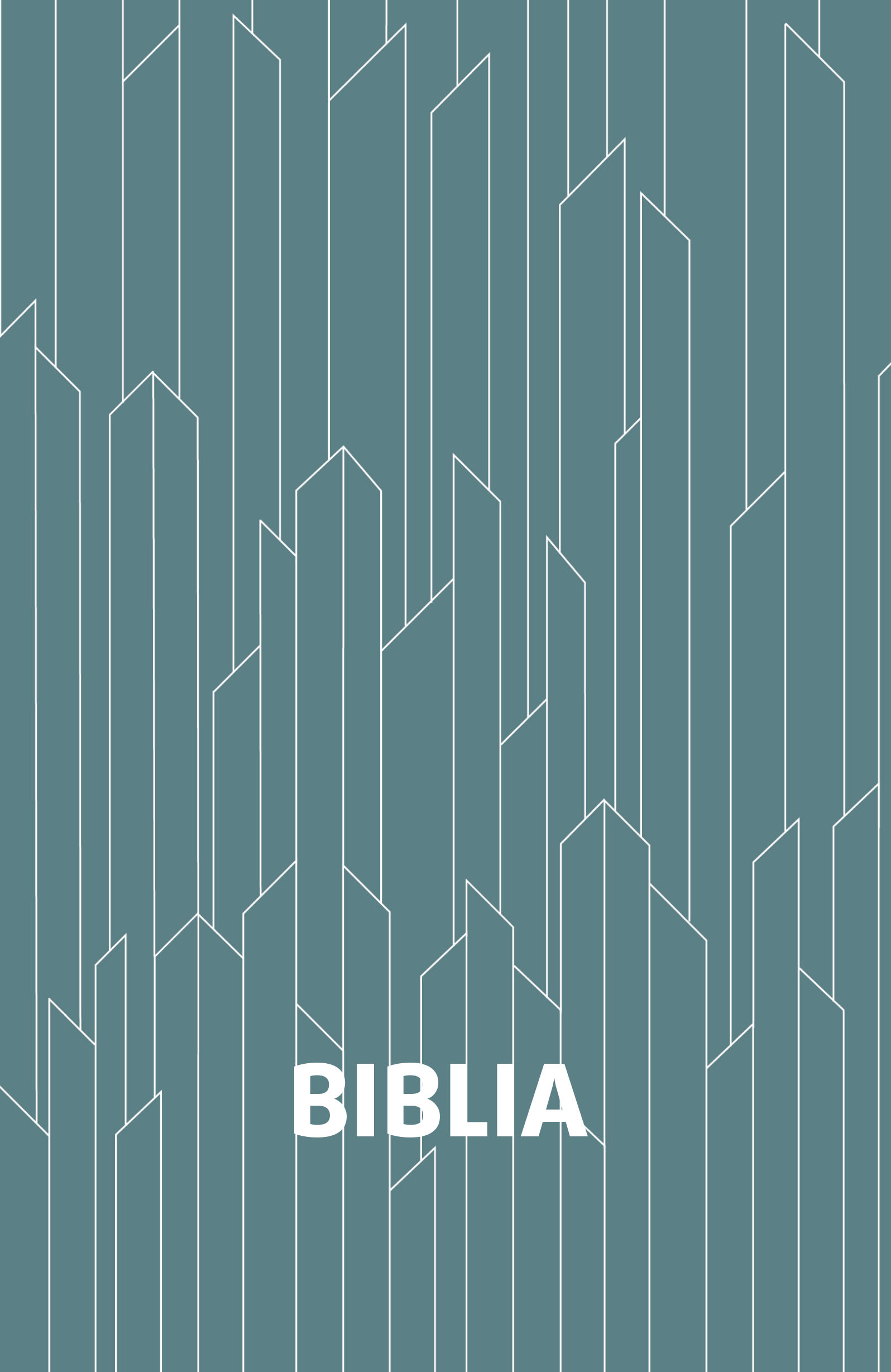 Biblia egyszerű fordítás kristályos borító