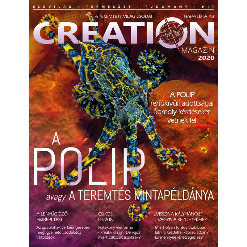 Creation Magazin 2020