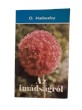 Az imádságról