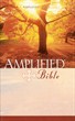 Angol Biblia Amplified Bible Mass Market