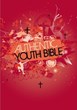 Angol Biblia Easy-to-Read Version Authentic Youth Bible Red