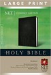 Angol Biblia New Living Translation Compact Edition Large Print Bible