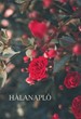 Hálanapló (piros rózsa)